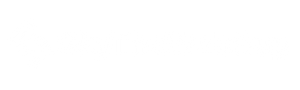 Sky The Web Guy